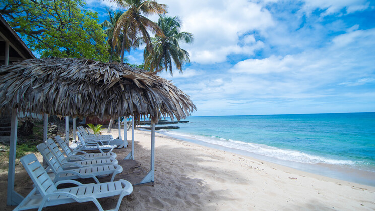 Tropikist Beach Hotel & Resort